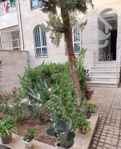 ۶۵ متر بدون مالک