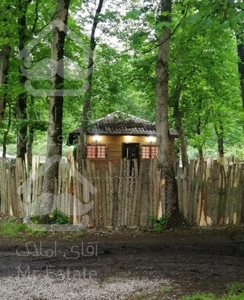 اجاره کلبه جنگلی در آمل