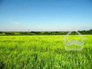 ☆☆زمین۴۴هکتاری گیلان قیمت عالی☆☆