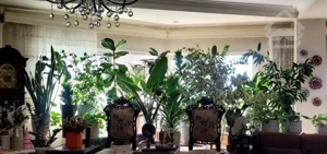 فروش یک واحد آپارتمان نورگیر در بهترین موقعیت