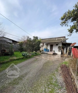 500مترخونه باغ/سندتک برگ/فروش فوری/زیرقیمت