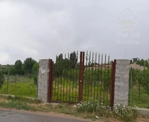 باغ بر یک کلفور درختد۱۵ ساله