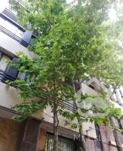 فرمانیه 138متر-3جهت نور-مشاعات هتلینگ-8متر تراس