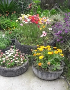 اجاره سوئیت از ۶۰۰۰۰۰ تا ۸۰۰۰۰۰