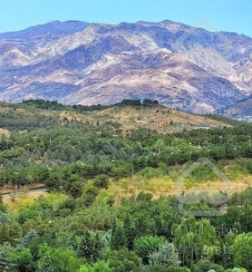 شهرک امید/سرمایه گذاری/۲خواب طبقات بالا