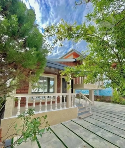 نوار جنگلی نور رنج ۳ تومن