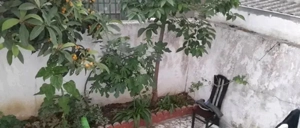 فروش ویلا ۳۰۰ متری ۳ خواب خیابان محبوبی