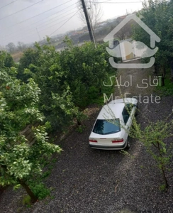 اجاره خونه  حیاط دربست