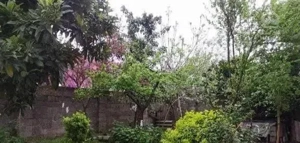 ویلایی ۱۰۰متری سند تک برگ  خیابان لاهیجان