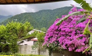 فک کن چشم انداز حیاط خونت این باشه/مبله/سنددار
