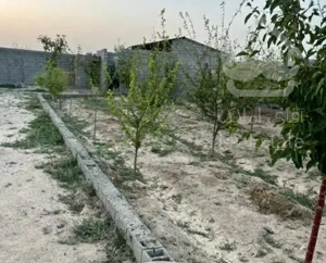 خریدمیکنی واسه تفریح و سرمایه‌گذاری مخصوص خانواده