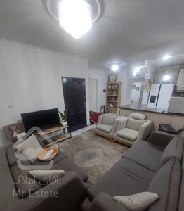 فروش آپارتمان ۵۰ متری ۱ خوابه در استاد معین