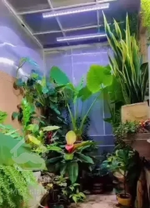 اجاره آپارتمان ۸۰متری با گلخانه وسفره خانه اختصاصی