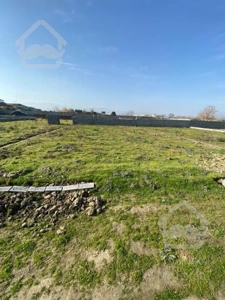 زمین فروش فوری آخرهفته