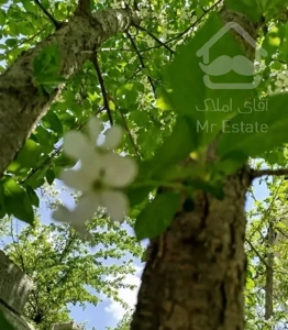 ویلای مجلل ۱۰۶۶ متری با دید ابدی در فشم با /راستا/