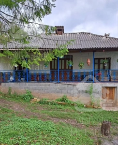 اجاره ویلا سنتی، ویو رو به جنگل