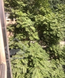 اجاره آپارتمان در محدوده میدان امامت