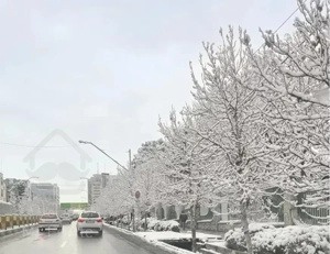 جردن ۱۵۰متر ۲خوابه نوساز