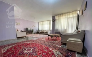 تخلیه، پارک لاله 185m لوکیشن بی‌نظیر (قابل تبدیل)