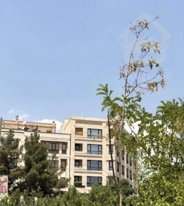 آپارتمان ۱۳۰ متر/۳خواب/تک واحدی/سر نبش/حکیمیه