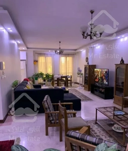 ۶۵ متر ۱ خواب پالیزی