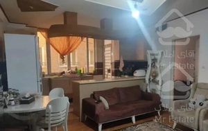 تنها همین واحد مانده/۵۵متر/شیک