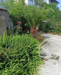 روستایی ،5دقیقه با شهر و دریا،دسترسی