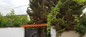 خونه روستایی چسب آمل به قیمت کاسبی
