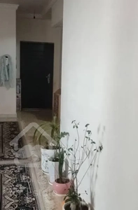 مجتمع آپارتمان سپاه برازجان قائم