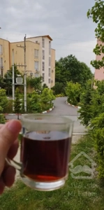 رویان جاده بلده