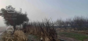 باغچه مثمر ۶۰۰متری