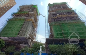 دفتر فروش*تندیس اقاقیا*عباس گلوی* نگین منطقه ۲۲