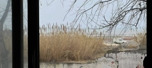 واحد نوساز ویو دریا خیابان اسحاقی/فوری