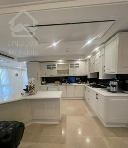 ۲۳۸متر گلستان شمالی/بازسازی کامل سکونت چند ساله