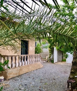 ویلاباغ فلتی که همه چی باهم داره