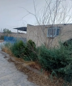 باغ باغ باغچه ویلا باغچه ویلا