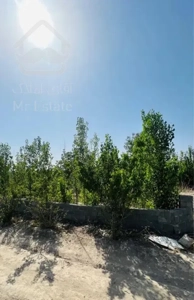 زمین باغی ۴۰۰متری محوطه سازی شده