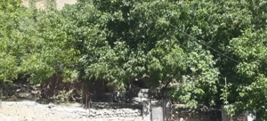 ویلا ۳۴۱ متر سند ۶ دانگ تک برگ با ۱۱۰ متر بنا