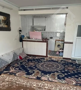 اجاره آپارتمان ۵۰ متری ۱ خوابه در حسن‌آباد