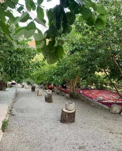 فراغت تابستانی در منطقه سبز چشمه بوز/خضرآباد