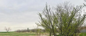 زمین باغی مسکونی 1هکتار باانشعابات شاهنامه گوارشک