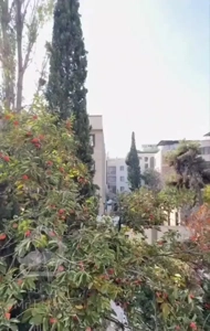 دروس ۱۵۷ متر ۳خواب نوسازی تاپ لوکیشن