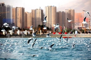 خرید و فروش آپارتمان دریاچه چیتگر منطقه ۲۲