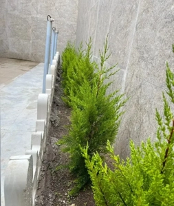 فروش آپارتمان 84 متری طبقه دوم