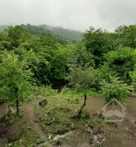 اجاره ویلا کنار رودخانه در قلعه رودخان