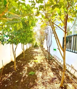 منزل دربستی ۷۰متری محدوده شهربانی