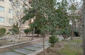 فروش آپارتمان در پونک منطقه ۲ همیلا