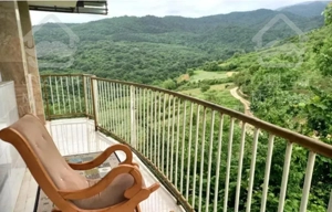 اجاره ویلا جنگلی دربست با ویو ابدی