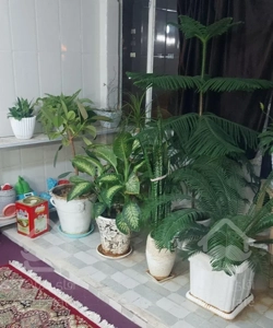 آپارتمان گلبهار 90 متر