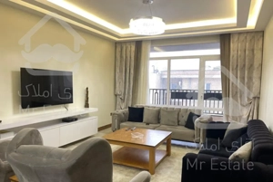 اپارتمان ۱۱۰ متری میرداماد اجاره